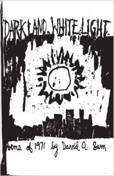 Dark Land, White Light - ebook